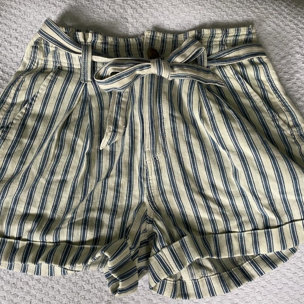 American Eagle Paper Bag shorts